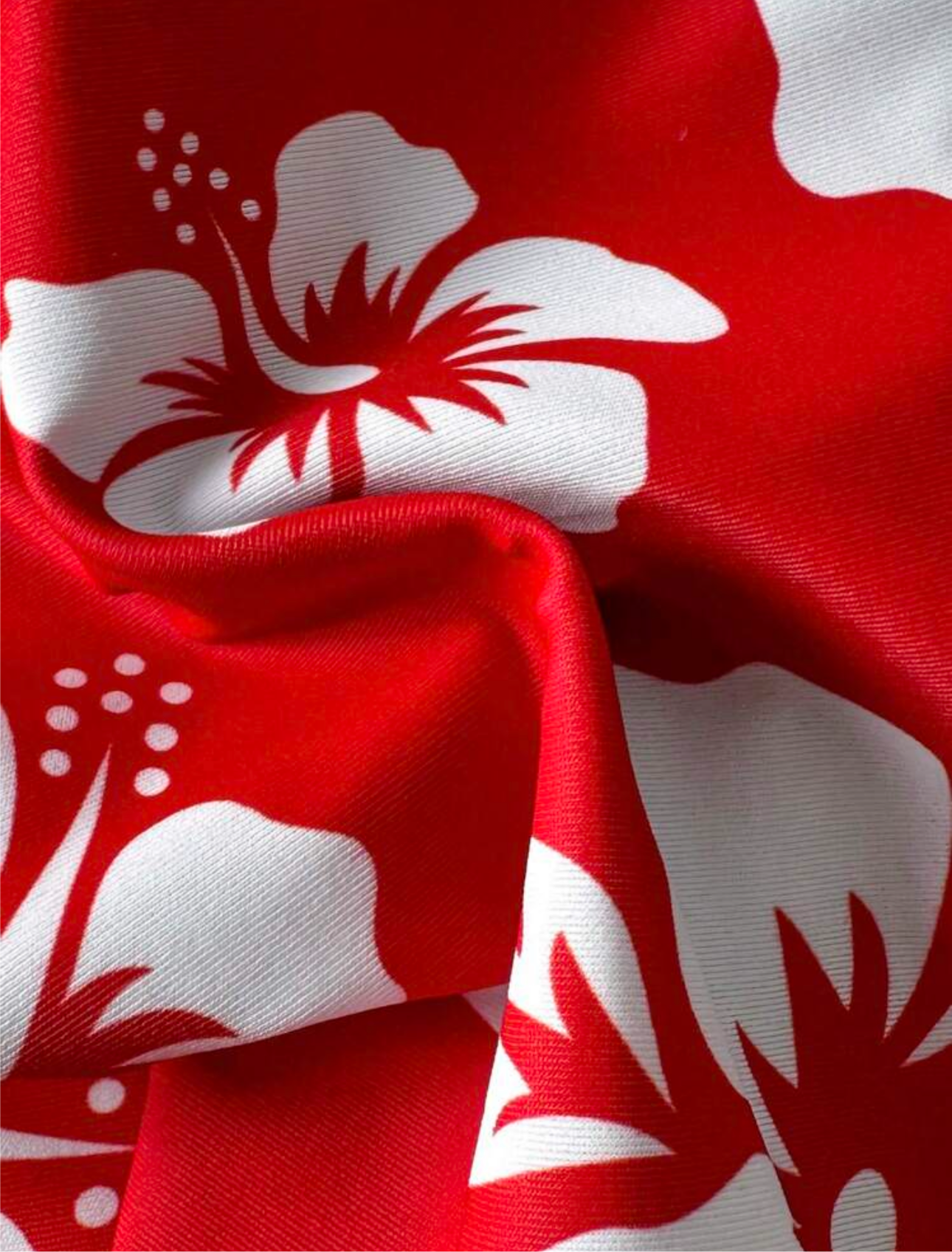 Bikini estampado