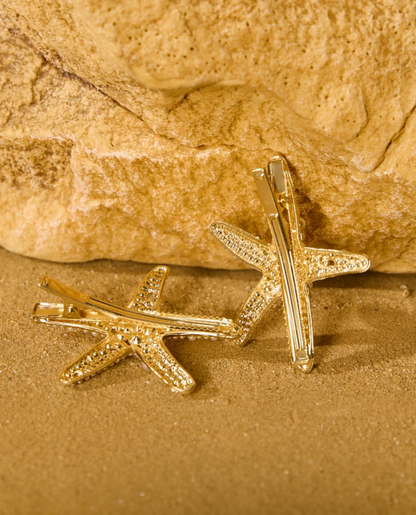 Pinza de estrella de mar